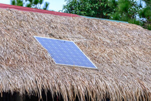 Government Subsidies for Green Energy | Shabnam Enterprise